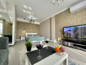 Apartment in the heart of the city